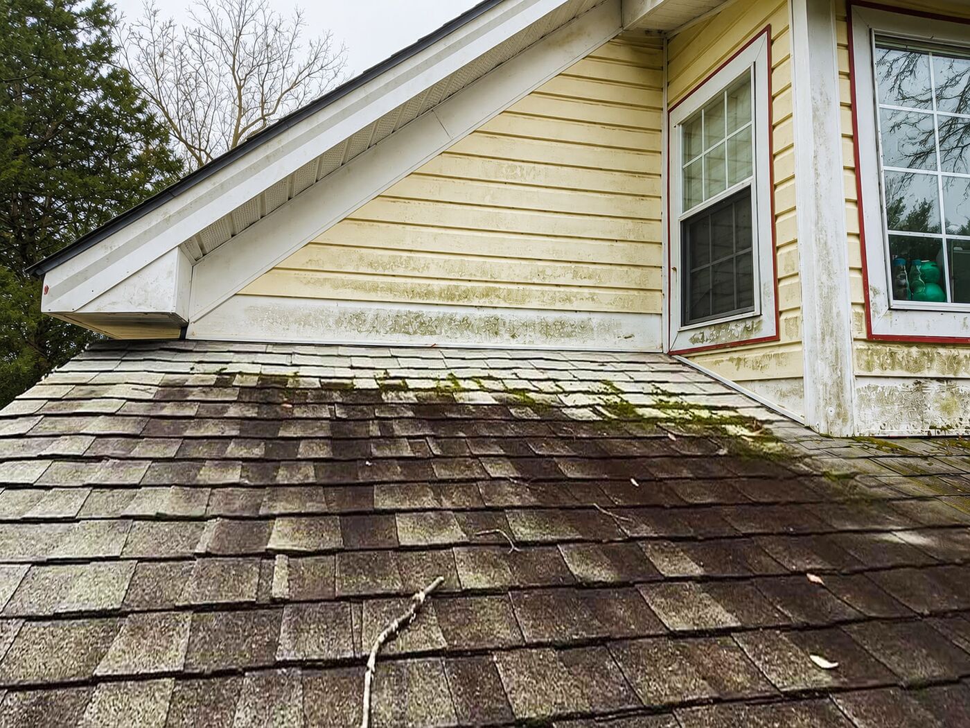 Roof before Next Level's cleaning and restoration